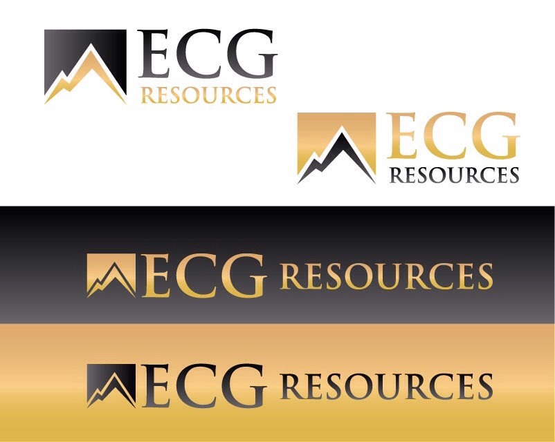 Logo Design entry 945602 submitted by resistance to the Logo Design for ECG Resources run by GTecg