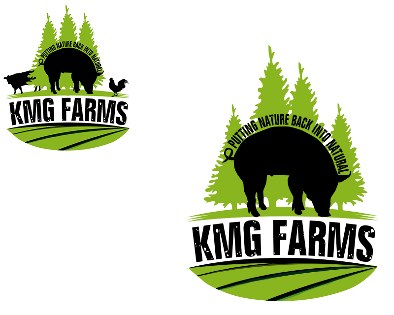 Logo Design entry 993641 submitted by jonny2quest