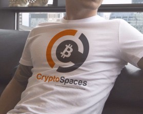 Logo Design entry 957561 submitted by jhonash02 to the Logo Design for CryptoSpaces  run by DonDaMan