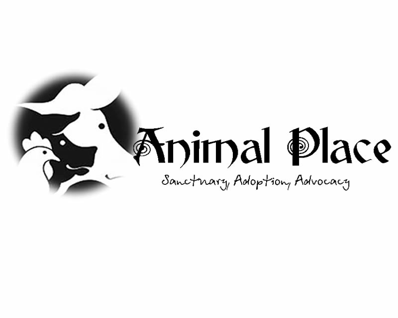 Logo Design entry 1016620 submitted by mhine03
