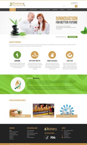 Web Design entry 1017834 submitted by wirepaper