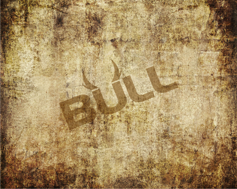 Logo Design entry 978534 submitted by airacheeka to the Logo Design for Bull run by ianomc1