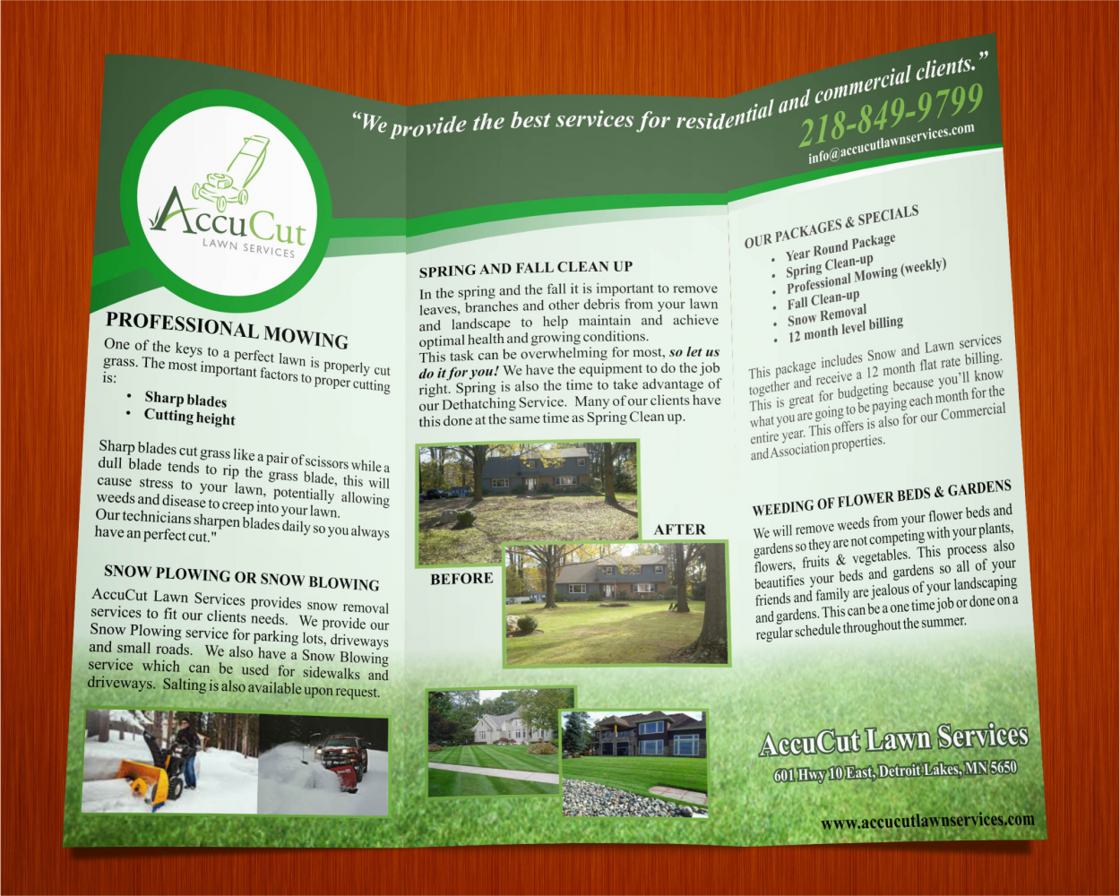 Brochure Design entry 1021017 submitted by tornado