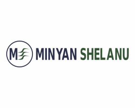 Logo Design Entry 983003 submitted by piejay1986 to the contest for Minyan Shelanu  run by mshel