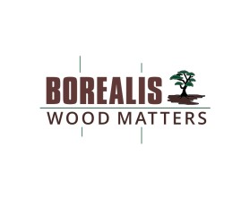 Logo Design entry 1008102 submitted by phonic to the Logo Design for Borealis Sales run by Borealis