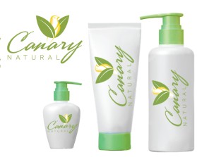 Another design by quimcey submitted to the Brochure Design for Contigo Technology by Contigo