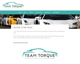 Logo Design entry 1017283 submitted by Yurie to the Logo Design for Team Torque www.teamtorque.co.nz run by DJHNSX