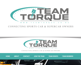 Logo Design entry 1017290 submitted by stupidboy143 to the Logo Design for Team Torque www.teamtorque.co.nz run by DJHNSX