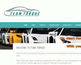 Logo Design entry 1017302 submitted by Oidesign to the Logo Design for Team Torque www.teamtorque.co.nz run by DJHNSX
