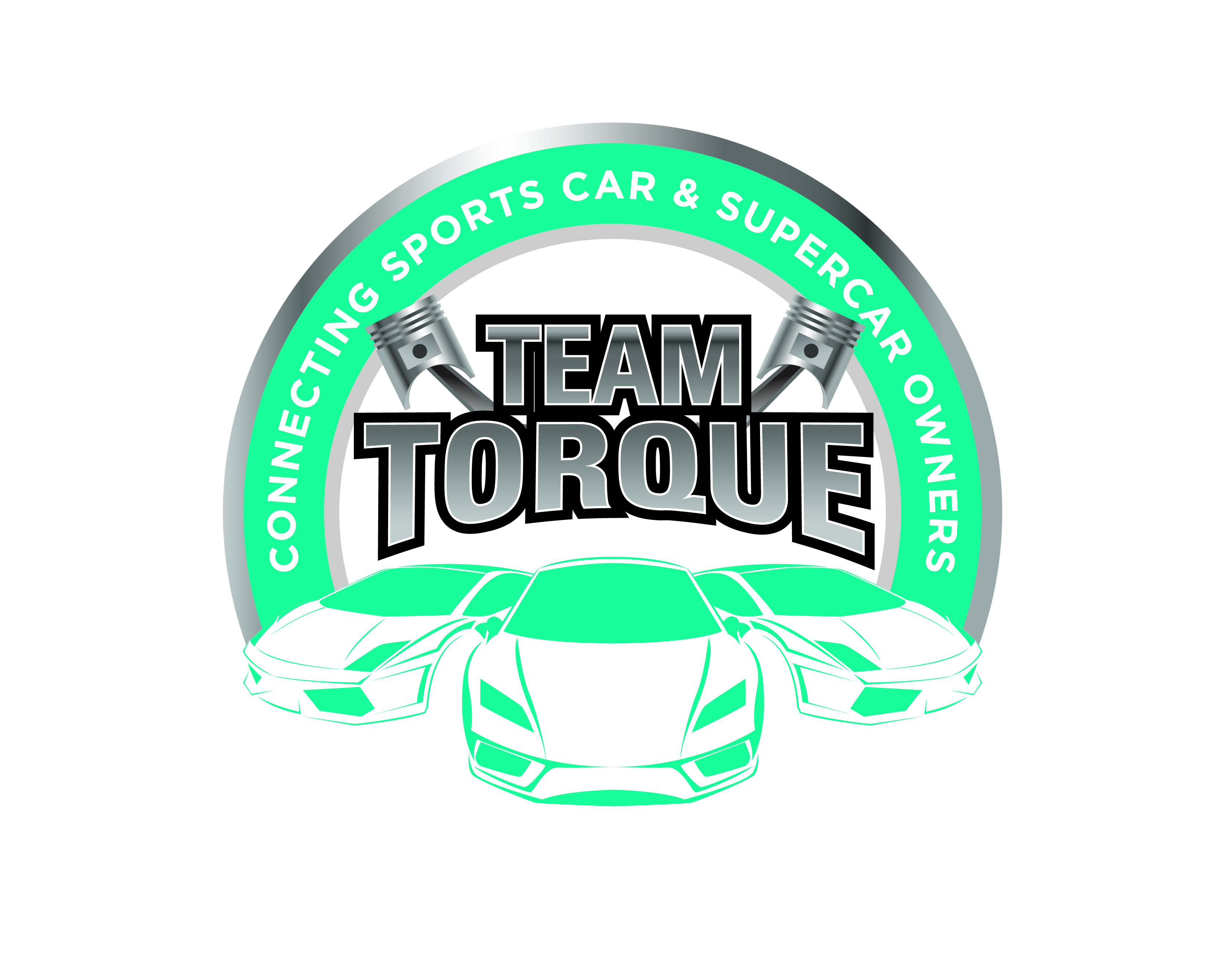 Logo Design entry 1017296 submitted by Yurie to the Logo Design for Team Torque www.teamtorque.co.nz run by DJHNSX