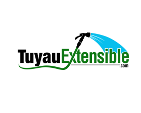 Logo Design entry 1017959 submitted by john12343 to the Logo Design for TuyauExtensible.com run by northtrex