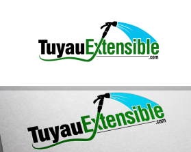 Logo Design entry 1017960 submitted by john12343 to the Logo Design for TuyauExtensible.com run by northtrex