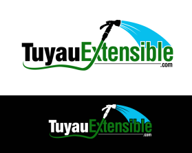 Logo Design entry 1017966 submitted by dsdezign to the Logo Design for TuyauExtensible.com run by northtrex