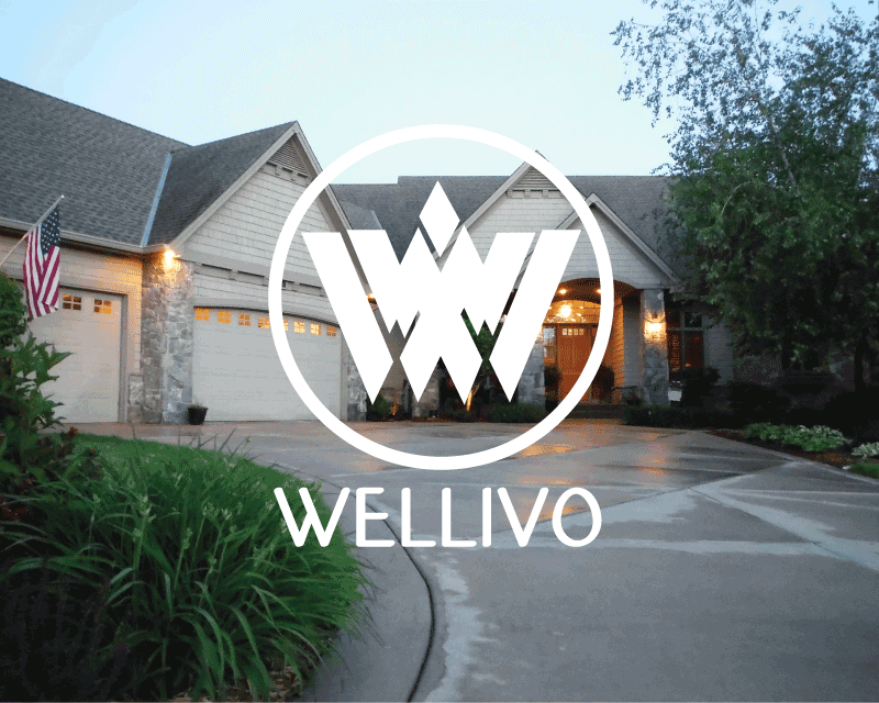 Logo Design entry 1034254 submitted by kbcorbin to the Logo Design for Wellivo run by mvbijker