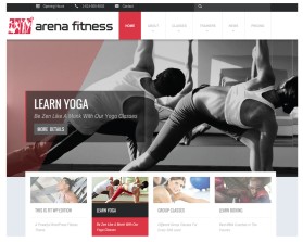 Logo Design entry 1062453 submitted by Yurie to the Logo Design for arena fitness run by Scavone1983