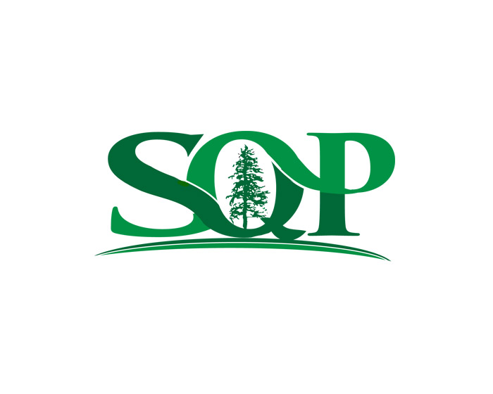 Logo Design entry 1071750 submitted by hegesanyi to the Logo Design for SQP run by sqpskibum
