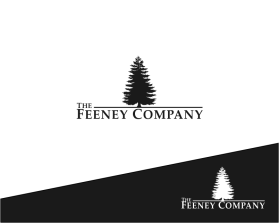 Logo Design entry 1075293 submitted by alex.projector to the Logo Design for The Feeney Company run by jimf03@aol.com