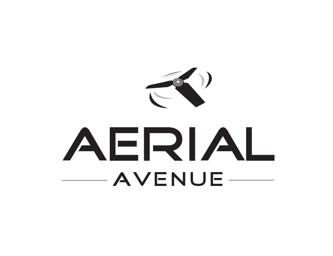 Logo Design entry 1078158 submitted by Jecha to the Logo Design for Aerial Avenue run by Giselemh
