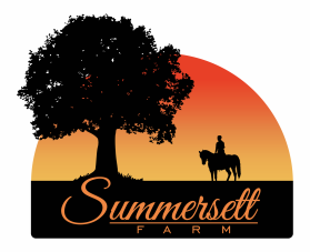 Logo Design entry 1087445 submitted by lp_barcenas to the Logo Design for Summersett Farm run by praddatz