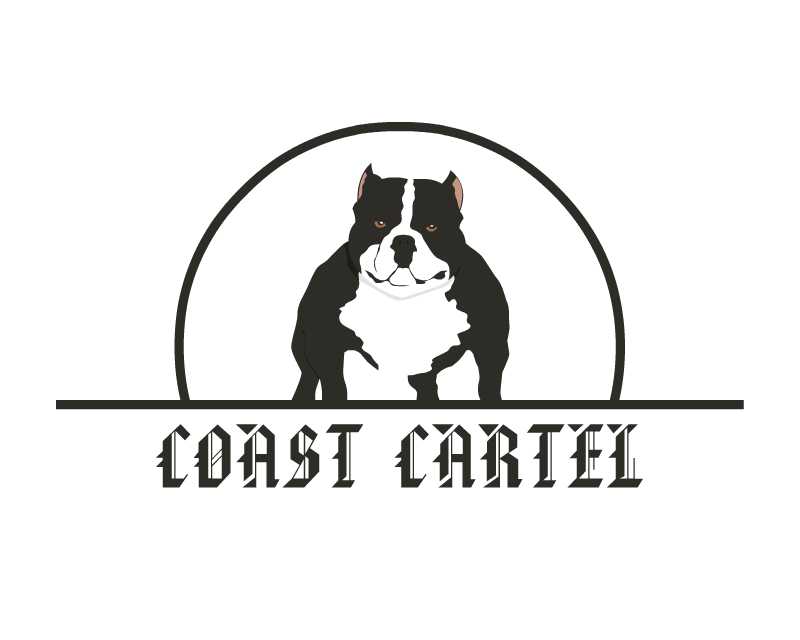 Logo Design entry 1132821 submitted by boycoll