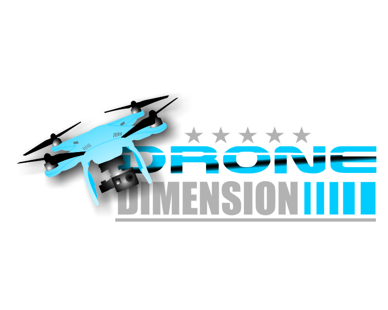 Logo Design entry 1099491 submitted by weirdXtreme to the Logo Design for Drone Dimensions, LLC run by TheKenMurrayGroupLLC