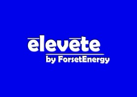 Logo Design entry 1132786 submitted by Dominate to the Logo Design for Ä“levÄ“te run by ForsetEnergy