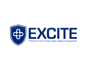Logo Design entry 1150949 submitted by quimcey to the Logo Design for EXCITE: EXternal Clinical fellowshIps supporT programmE run by jdurham