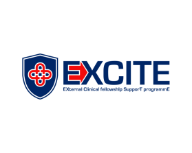 Logo Design entry 1150951 submitted by Sam_idea to the Logo Design for EXCITE: EXternal Clinical fellowshIps supporT programmE run by jdurham