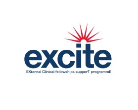 Logo Design entry 1150973 submitted by gazzle to the Logo Design for EXCITE: EXternal Clinical fellowshIps supporT programmE run by jdurham