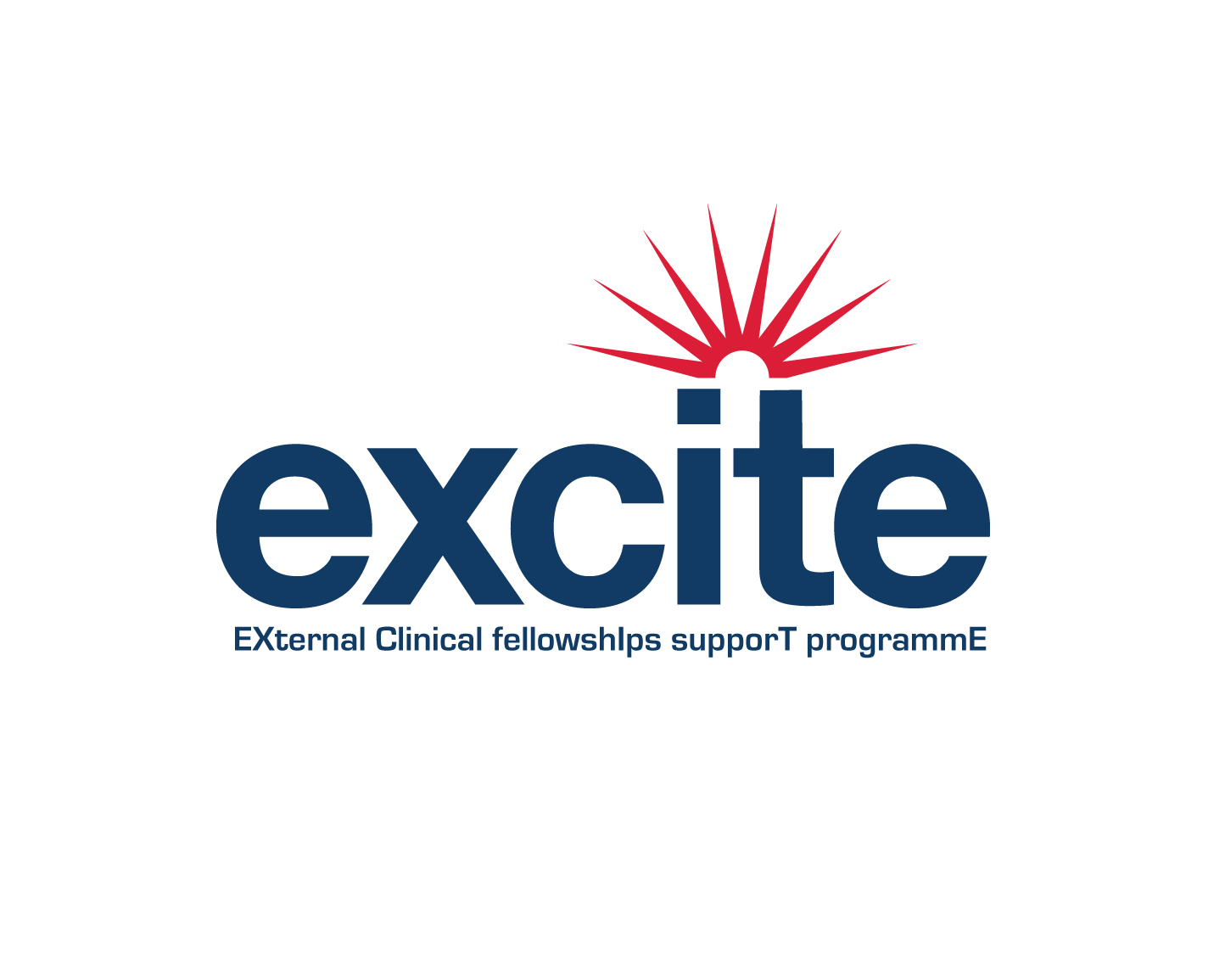 Logo Design entry 1150973 submitted by quimcey to the Logo Design for EXCITE: EXternal Clinical fellowshIps supporT programmE run by jdurham