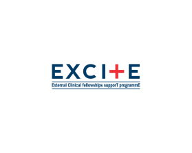 Logo Design entry 1150974 submitted by DesignS to the Logo Design for EXCITE: EXternal Clinical fellowshIps supporT programmE run by jdurham