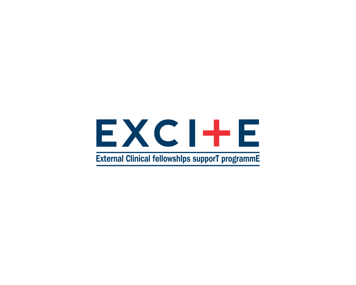Logo Design entry 1150974 submitted by Sam_idea to the Logo Design for EXCITE: EXternal Clinical fellowshIps supporT programmE run by jdurham
