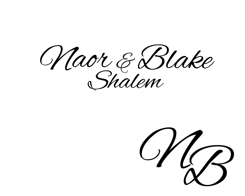 Logo Design entry 806878 submitted by jonny2quest to the Logo Design for Naor & Blake  run by BPTGGOTHAM