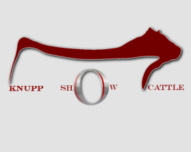 Logo Design entry 1165992 submitted by RZ to the Logo Design for Knupp Show Cattle run by dknupp