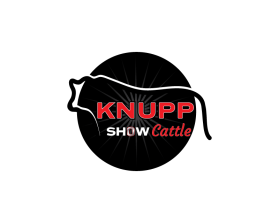 Logo Design Entry 1166330 submitted by DayDesigns to the contest for Knupp Show Cattle run by dknupp