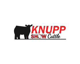 Logo Design entry 1166429 submitted by drifel22 to the Logo Design for Knupp Show Cattle run by dknupp