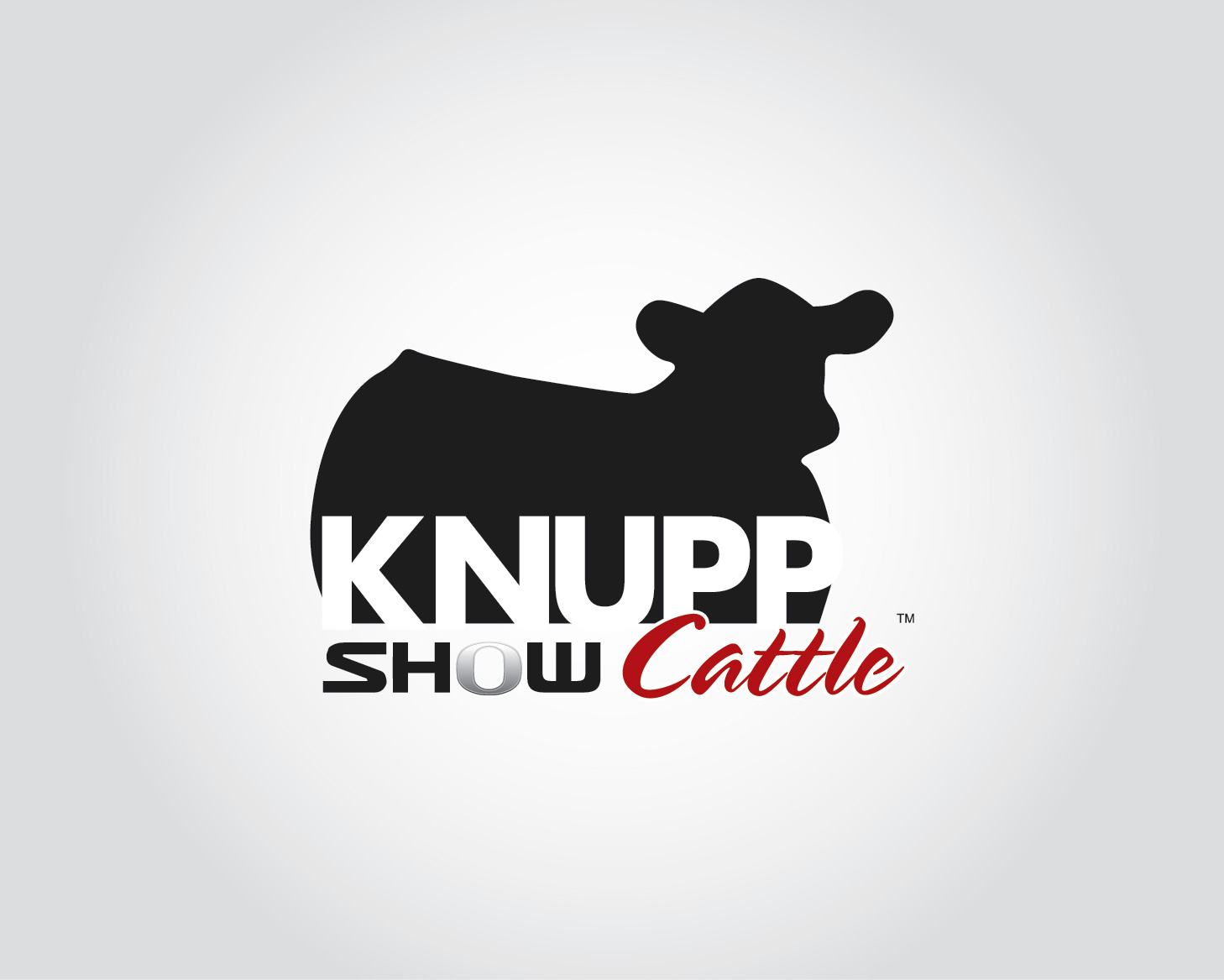 Logo Design entry 1166927 submitted by bocaj.ecyoj to the Logo Design for Knupp Show Cattle run by dknupp
