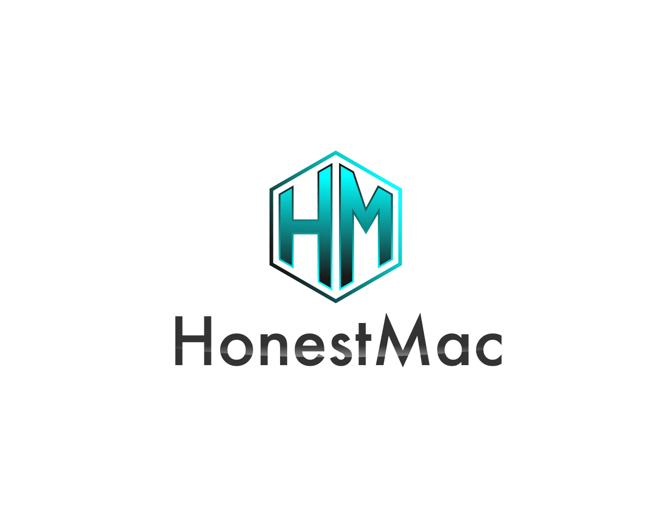 Logo Design entry 1216231 submitted by hzm_sign@yahoo.com