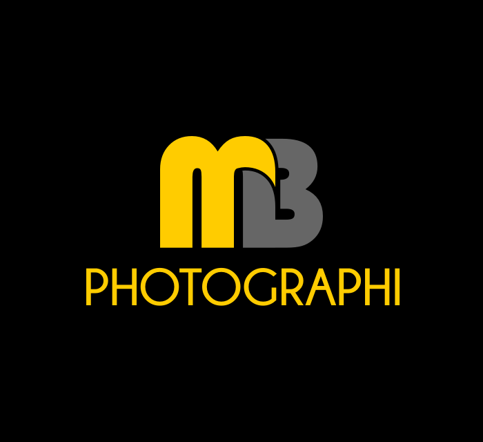 Logo Design entry 1223650 submitted by bilbil