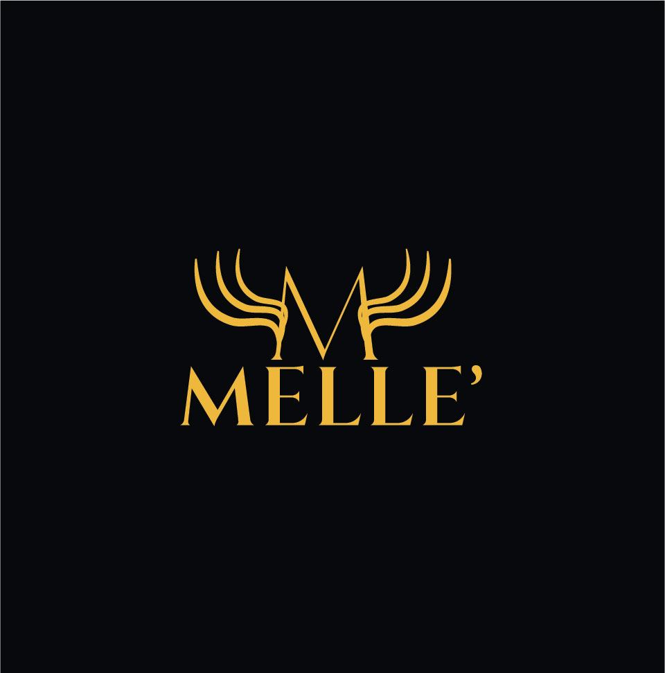 Logo Design entry 1179851 submitted by Armen to the Logo Design for Melle' run by Melle123