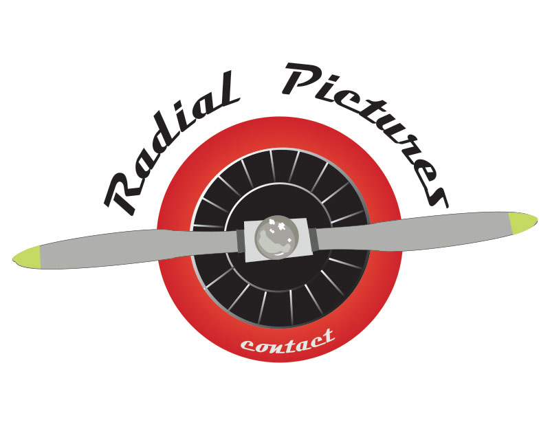 Logo Design entry 1187550 submitted by not2shabby to the Logo Design for Radial Pictures run by ClayburgCreative