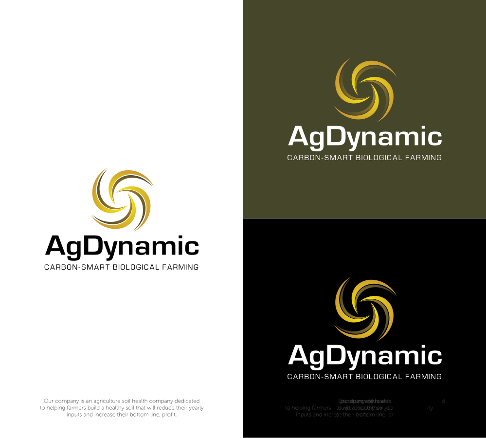 Logo Design entry 1236144 submitted by Dinar