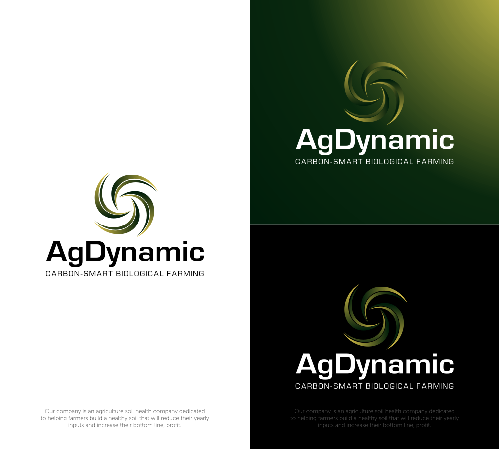 Logo Design entry 1236172 submitted by Dinar