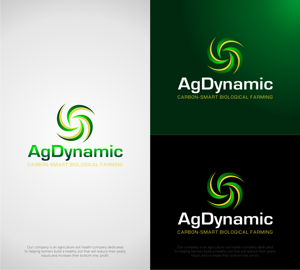 Logo Design entry 1236255 submitted by Dinar