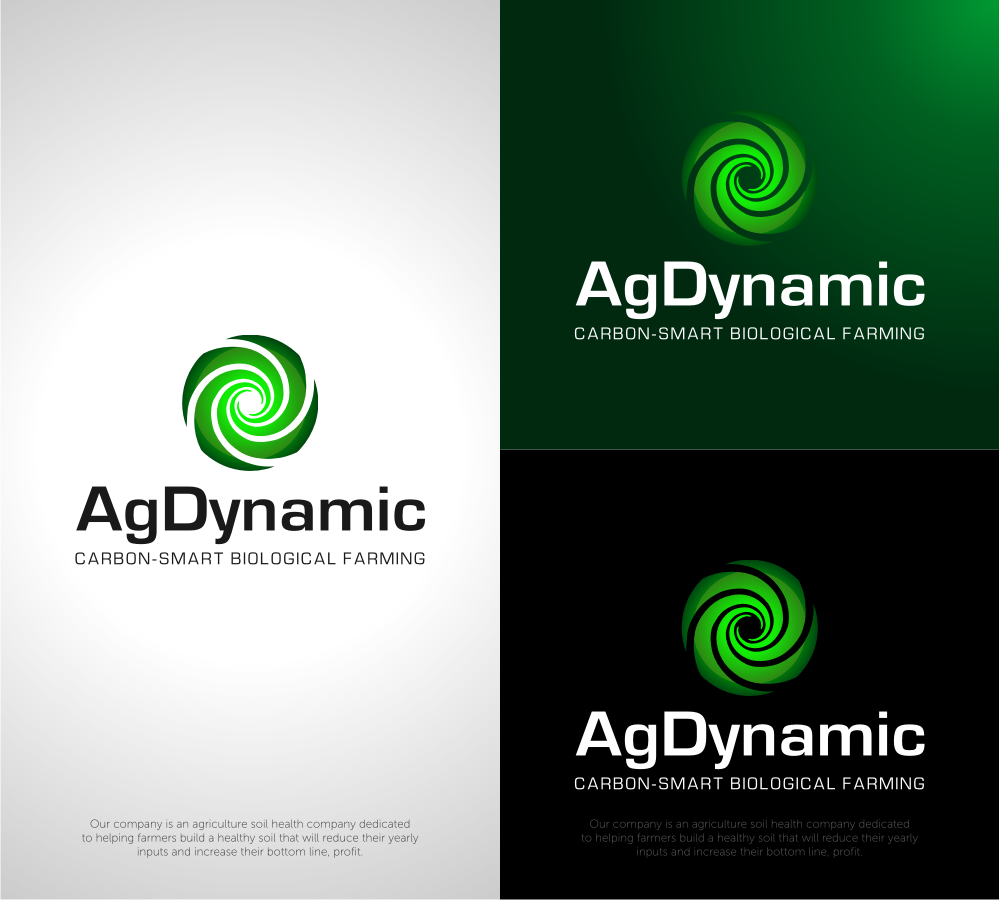 Logo Design entry 1236260 submitted by Dinar