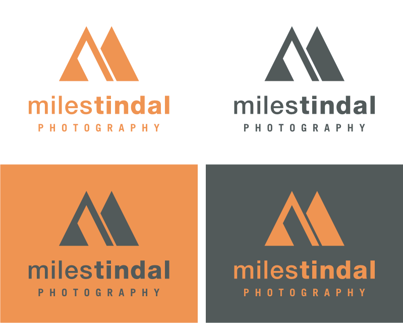 Logo Design entry 1239602 submitted by tina_t