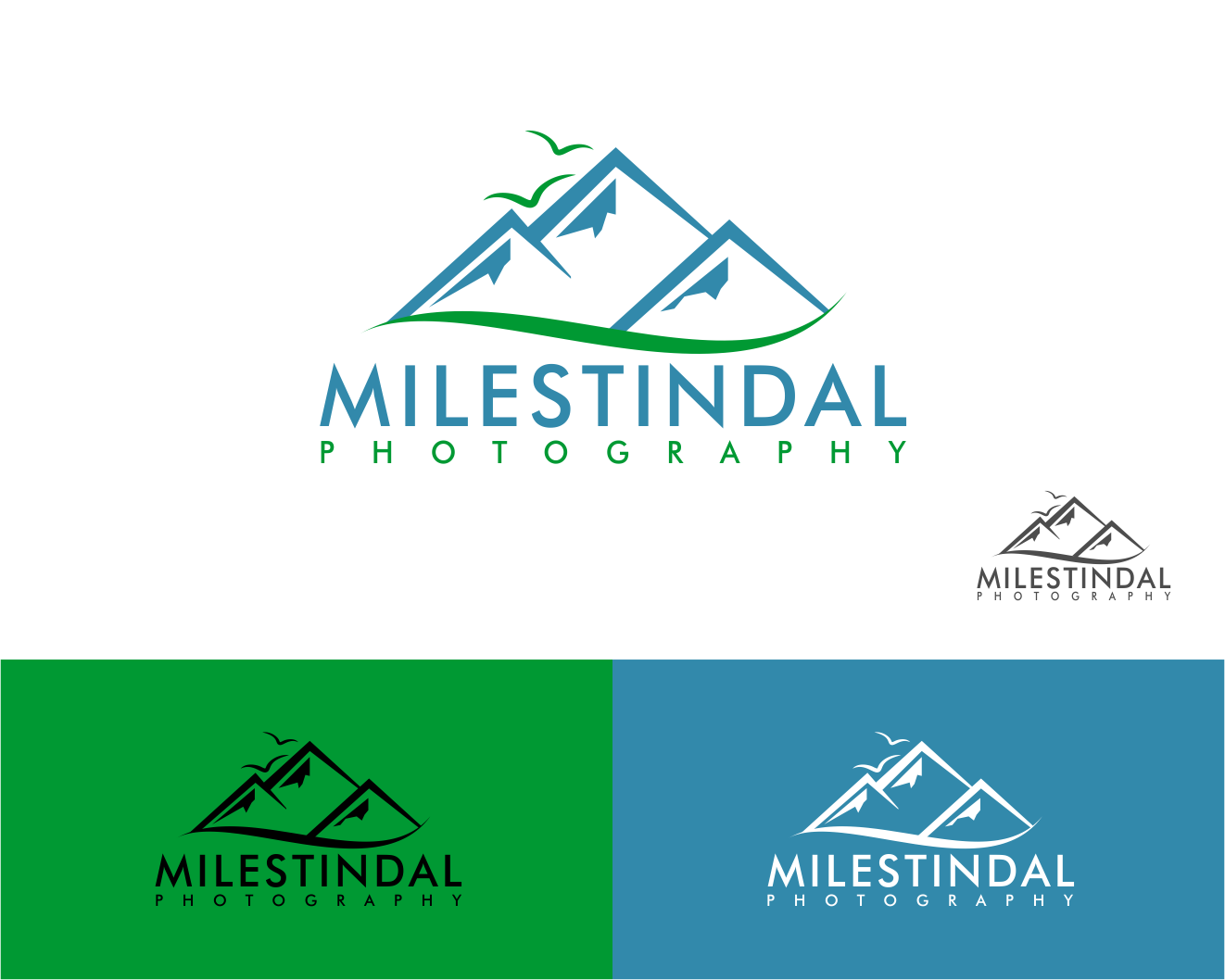 Logo Design entry 1241468 submitted by wisedesign9