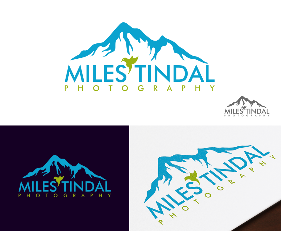 Logo Design entry 1242063 submitted by wisedesign9