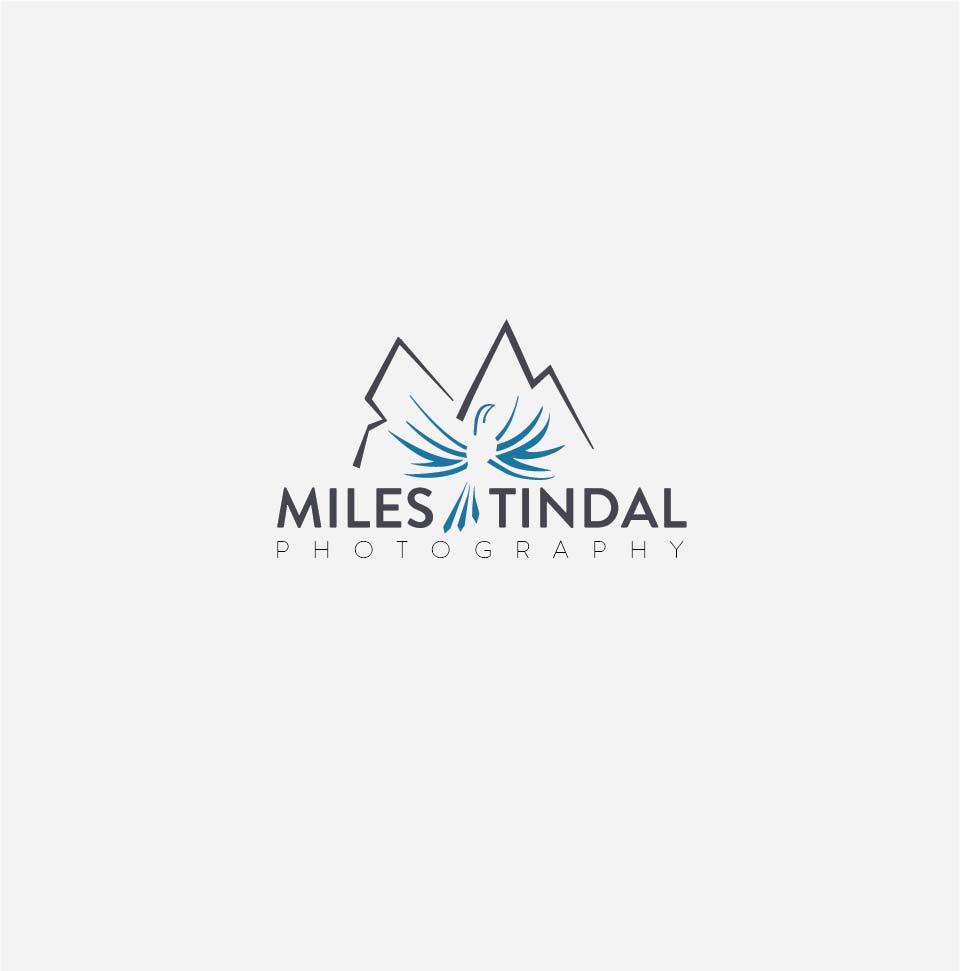 Logo Design entry 1242305 submitted by Armen