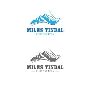 Logo Design entry 1242387 submitted by Tomtom